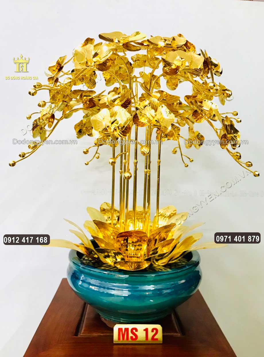 Mẫu chậu hoa Lan 12